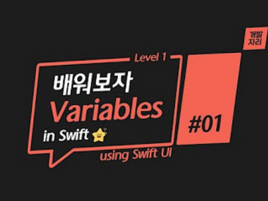 [LEVEL1] SwiftUI로 배우는 Swift문법의 기초 - 1